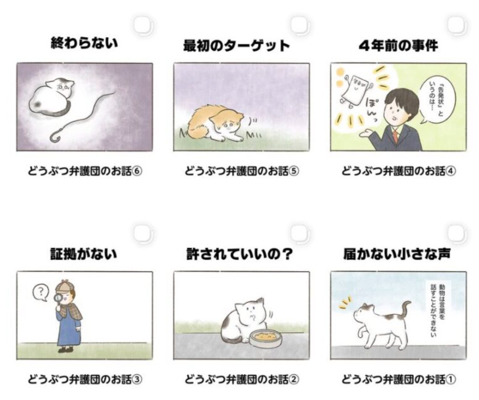 どうぶつ弁護団のお話 インスタ連載
